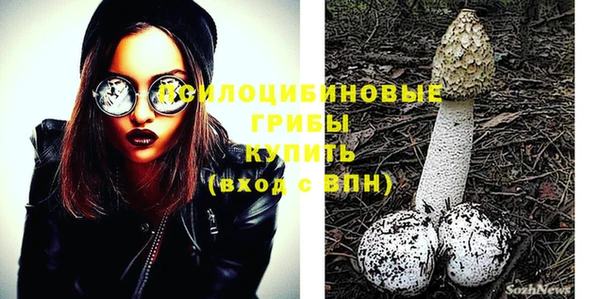 индика Алзамай