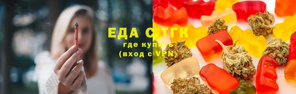 индика Алзамай