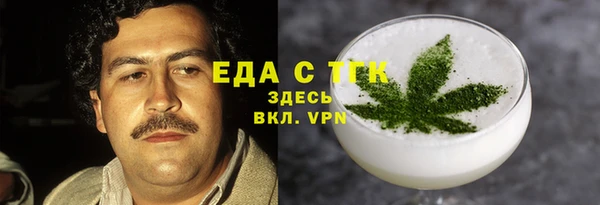 индика Алзамай