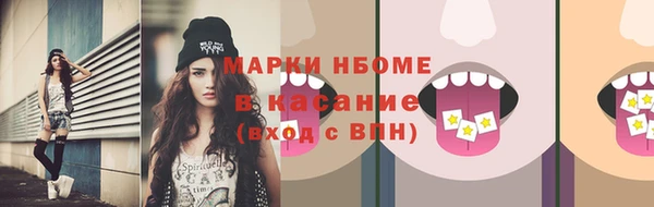 индика Алзамай