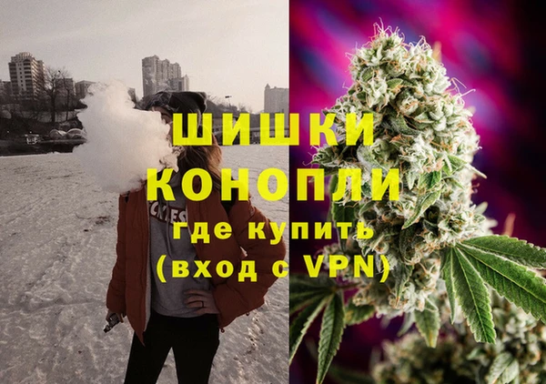 индика Алзамай