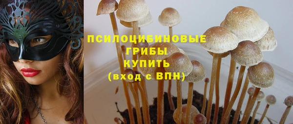 индика Алзамай