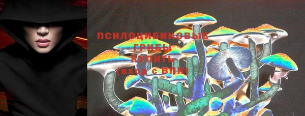 гидра Алексин